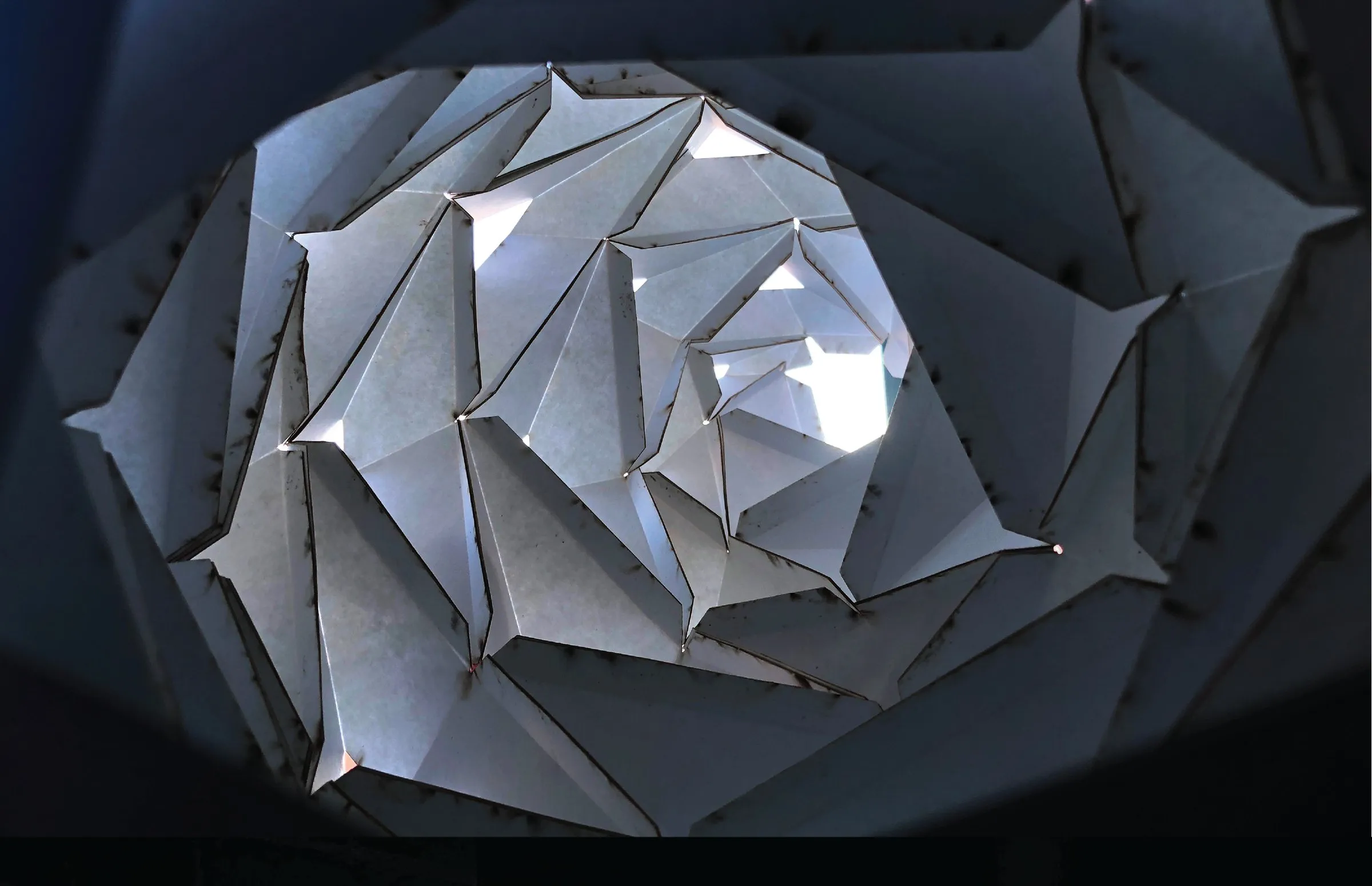 Barnacle Lamp