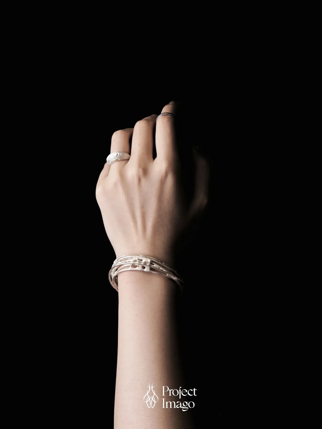 Project Imago