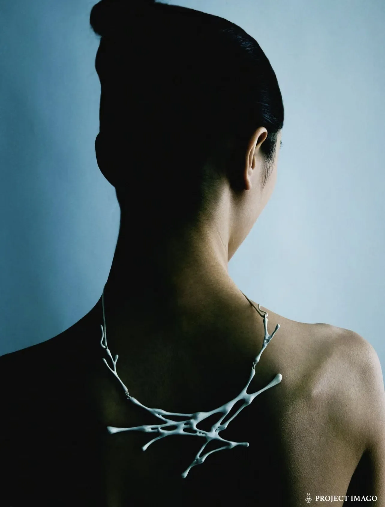 Project Imago