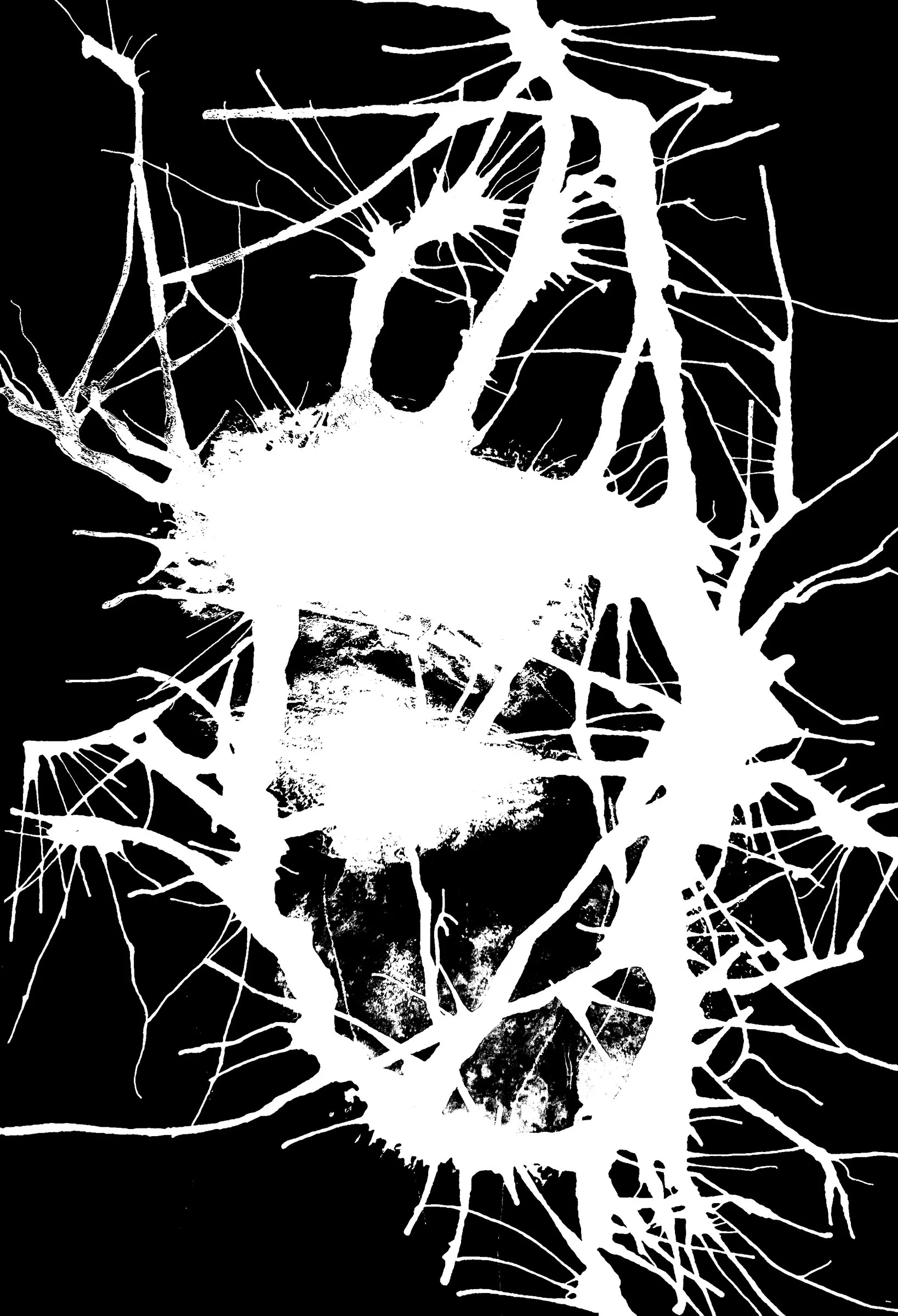 Intersect